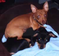 Buster and Sonny
