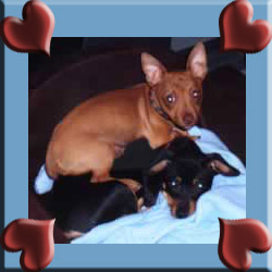 Buster and Sonny